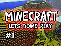 Minecraft Solo: LETS DOME PLAY Ep.1 (Singleplayer Survival)