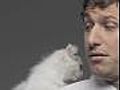 Q&A with Andy Samberg,  Viral Video King
