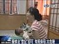 全台2萬7千名嬰兒　無照保母帶大 (06/08 10:15)