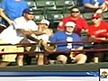 Man tumbles trying for foul ball,  dies