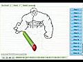 How to Draw the Incredible Hulk