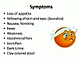 Hepatitis B Virus Video