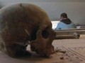 Projeto DNA para identificar as vítimas
