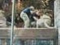 Couple On Honeymoon Catch Lion Attack On Tape