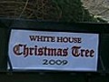 Ho-ho-ho! White House Christmas Tree Arrives