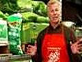 How To Fertilize Your Lawn – the Home Depot