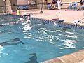 FoxCT: Pool Drain Cover Recall 5/27