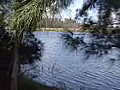 Royalty Free Stock Video SD Footage Students Learning to Wind Surf on a Lake in Ft. Lauderdale,  Florida