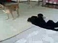 あァァ～あ↓↓