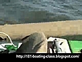 Angry Elephants Attack Three People on a Boat