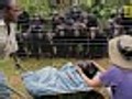 Photo Shows Chimps in Mourning