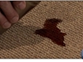 Removing Coffee from Carpet