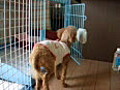 自分で開けるの