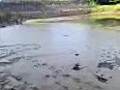2010/07/22
