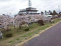 大河津分水P3