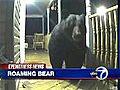 VIDEO: Bear on porch in Monticello