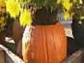 Pumpkin Planter