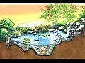 How To Maintain A Water Garden or Ecosystem Pond