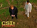 CSI: Miami - Send Out the Hounds
