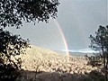 Guy Blown Away By Rainbow