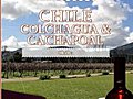 Culinary Travels Chile-Colchagua & Cachapoal