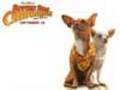 Beverly Hills Chihuahua - Trailer