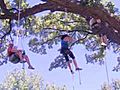 Medical Watch: Tree Climbing for exercise