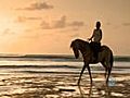 Aruba on Horseback