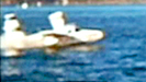 Plane Splash Lands in Sausalito