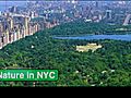 NYC: Central Park!