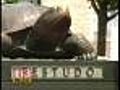 University Of Md. Reconsiders 'Fear The Turtle'