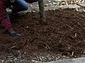 Winterizing Garden - Mulching