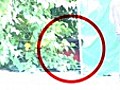 元朗行李喼藏屍案　死者身份未明料已死去12小時