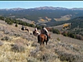 Real trips Cattle Ranching in Wyoming