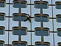 French Daredevil Scales Skyscraper