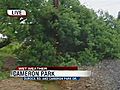 Tree Down In Cameron Park Blocks Roadway