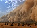 Great Migrations - Surviving a Dust Storm