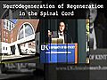 Neurodegeneration and Regeneration in the Spinal Cord