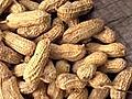 Peanut allergy cure?