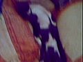TENUE PROVOCANTE