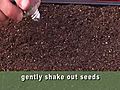 Planting Small Seeds Easily