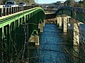 Woman Dives Off Bridge and Lives