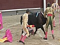 Padilla regresa a Las Ventas con una faena ovacionada