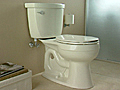 Toilets Overview