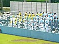 高校野球応援団