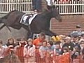 Horse jumps into crowd during Australian steeplechase