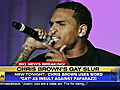 Chris Brown’s gay slur