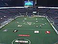 Week Nine - Washington Stealth @ Edmonton Rush