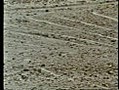 lineas de nazca en peru. jimenez del oso