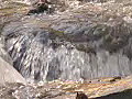 Royalty Free Stock Video HD Footage Rushing Water from a Small Stream in North Carolina